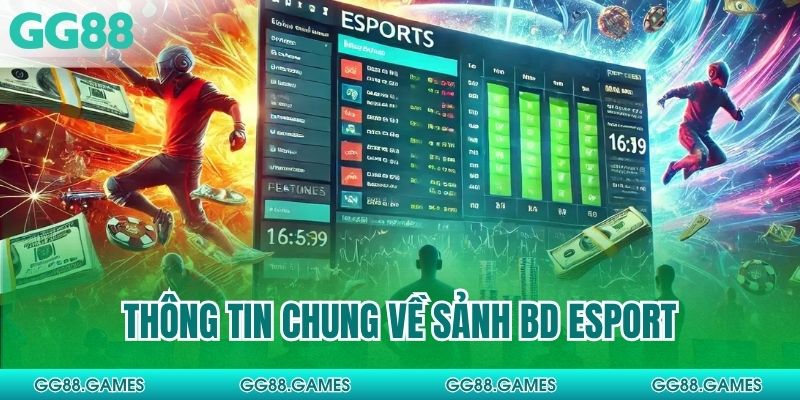 Thông tin chung về sảnh BD Esport